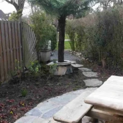 Grote Boomvaren (Dicksonia Antarctica) 24 Grote Boomvaren (Dicksonia Antarctica) -Aanbiedingen Tuin Vitaal Winkel dicksonia antartica 1